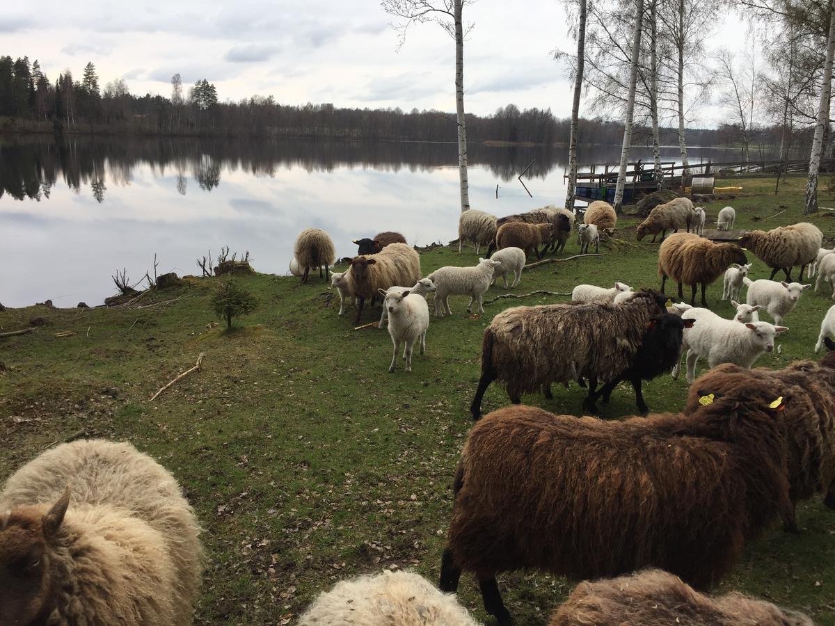 Grinderum Hällerum Exteriér fotografie